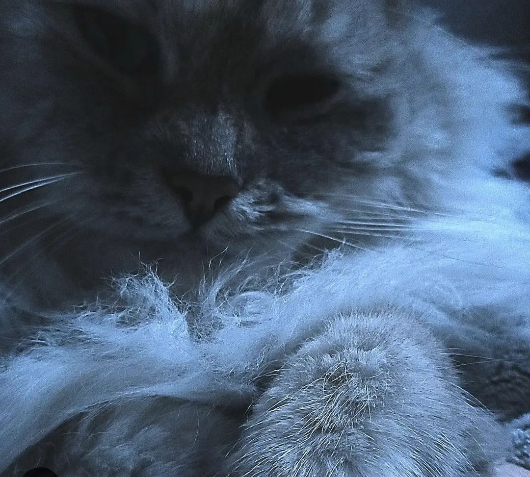 LUNA